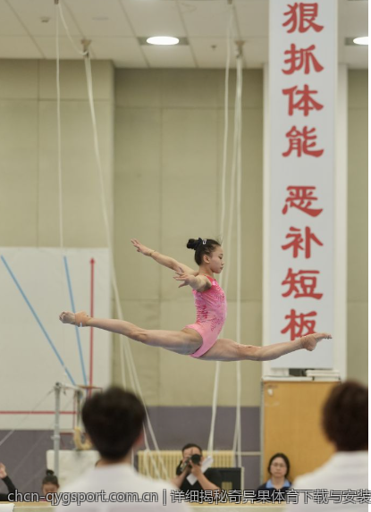 详细揭秘奇异果体育下载与安装流程