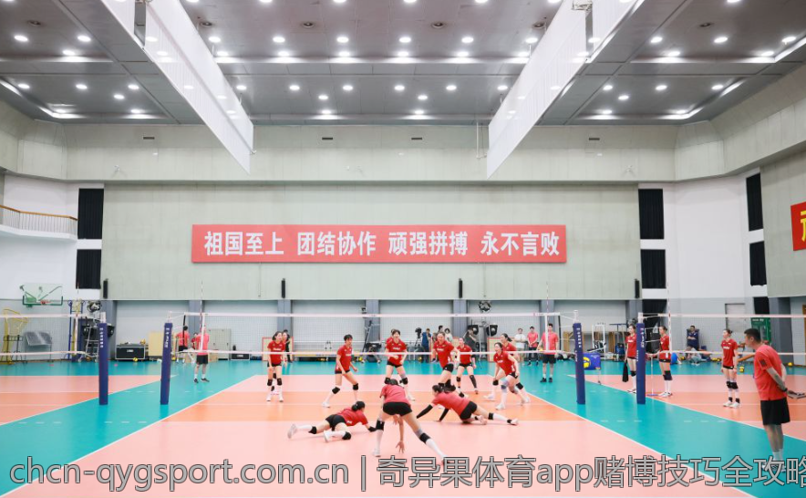 奇异果体育app赌博技巧全攻略